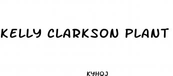 kelly clarkson plant based diet for weight loss