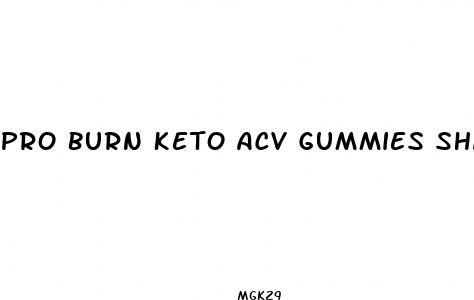pro burn keto acv gummies shark tank